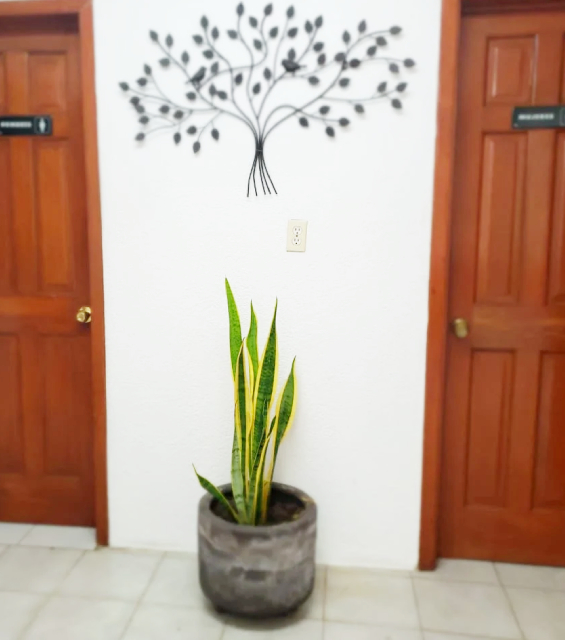 Especialistas en Diabetes en Tabasco